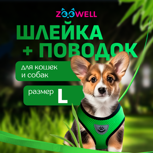       ZooWell ,  L,     -     , -  