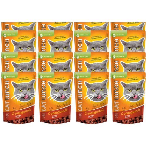  Cat Lunch       ,  (0.085 ) 24  (2 )   -     , -,   