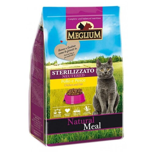  MEGLIUM NEUTERED CAT            (3 )   -     , -,   