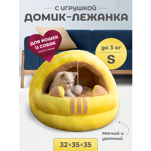       , S 353532 ,    ,   Family Pet   -     , -  