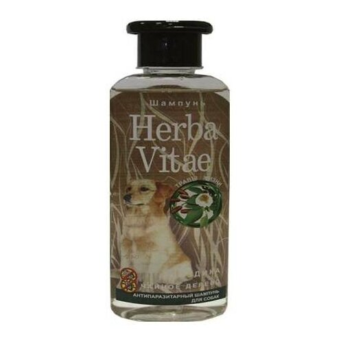  Herba Vitae    (0.25 ) (5 )