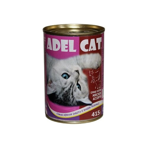      Adel Cat     12 .  415    -     , -,   