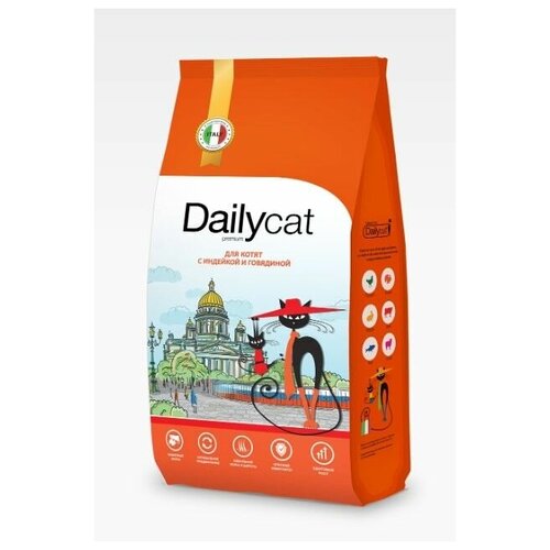  Dailycat Casual         - 400    -     , -,   