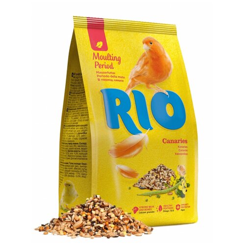   RIO     , 500  RIO 2071114 .   -     , -,   