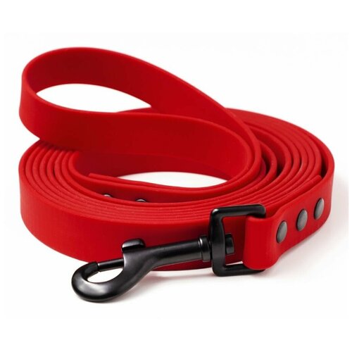 ���� ������� �� ������� 1 �, ������ 16 ��, Woofy 