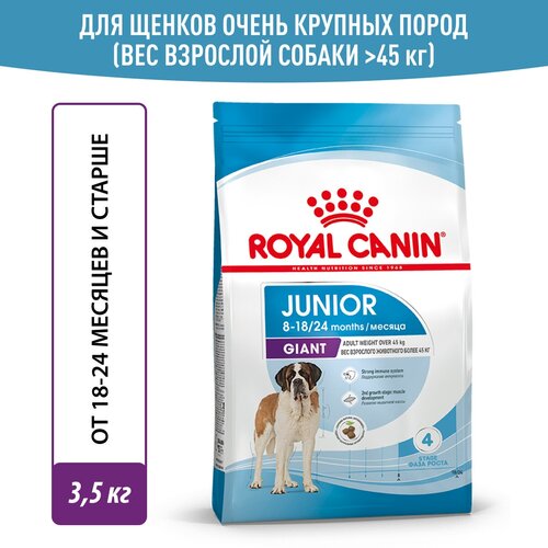     Royal Canin  Giant Junior ( )        8 , 3,5    -     , -  