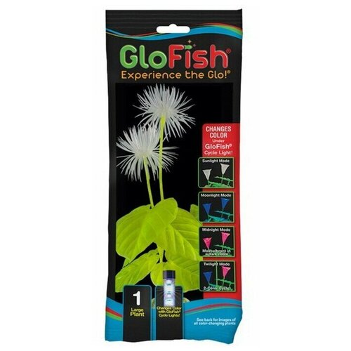    , GloFish, , L, 29 , , 1 .