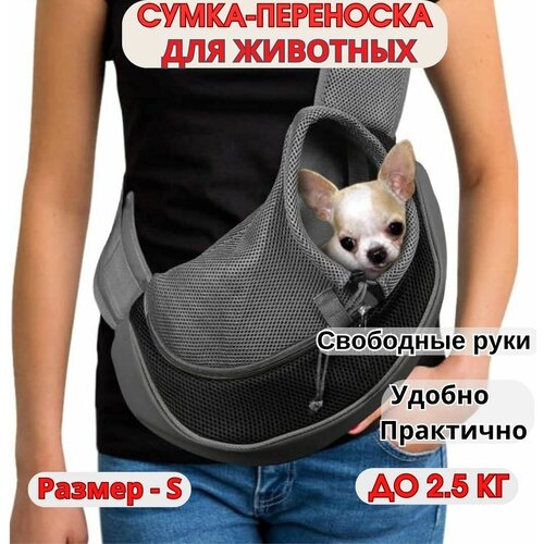 ���� ����� ��������� ��� ����� ������ ����� �� 2,5 �� / ��������� ��� ����� �� 2,5 �� / ����� ��� ����� ������ ����� - ������ - S, ������ ������