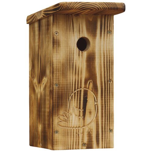 ���� ���������� 