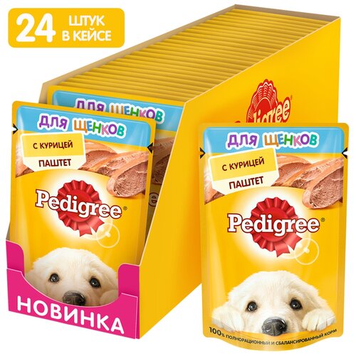  Pedigree      ,    (24  ) 80 