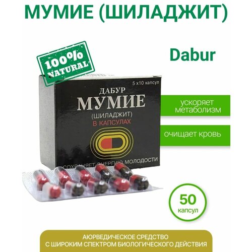 ���� ����� �������� � ��������, 50 ��, ������ ������