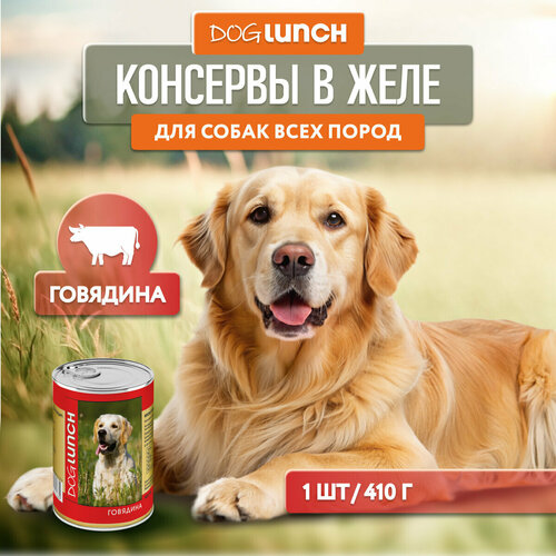      Dog Lunch  1 .  1 .  410    -     , -  