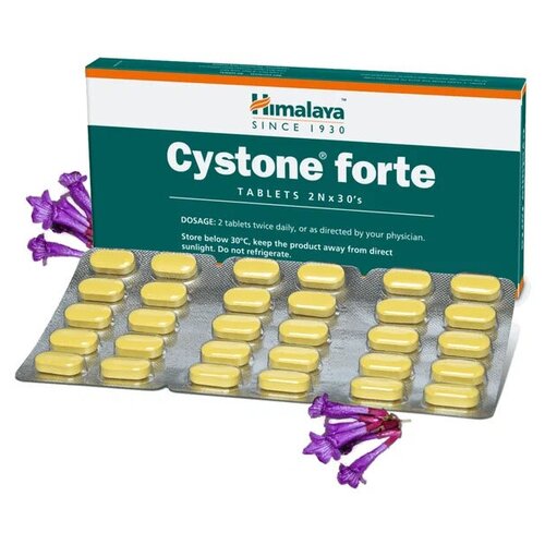     (Cystone Forte)    ,    , 60 .   -     , -  