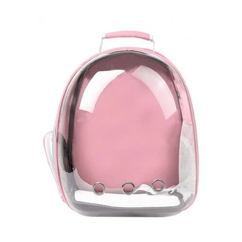 ���� ������-��������� ��� ����� � ����� (�������), ������ ������