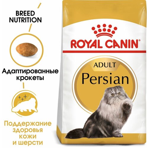  ROYAL CANIN PERSIAN ADULT 2       12  3   -     , -  