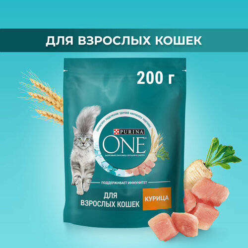  PURINA ONE 200      ,          -     , -  