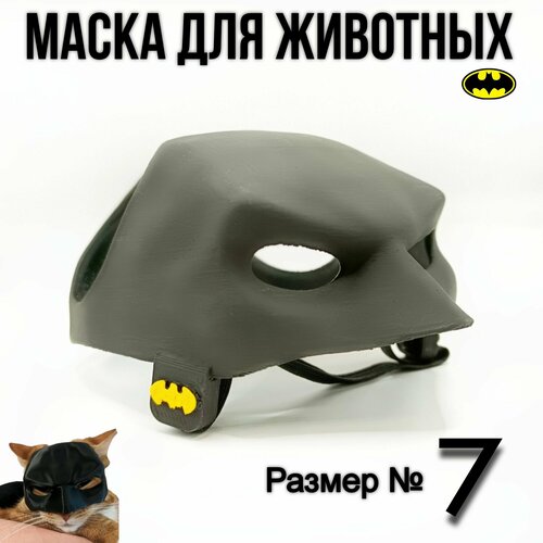 ���� ����� ��� ���� ������, ������ ������