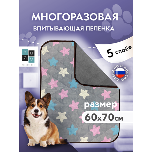   (, )    ()  YUGO for you dog 60*70  ()   -     , -  