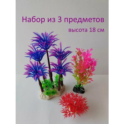 ���� �������� ��� ���������, ������ ������