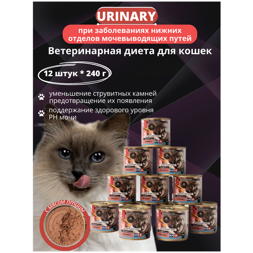      Secret Premium URINARY    12   240    -     , -  