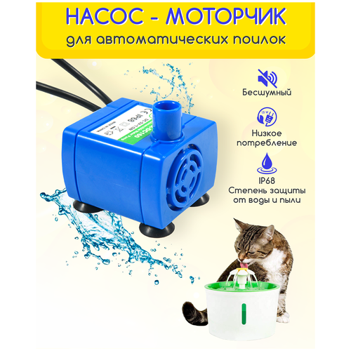 ���� ������� ����� �������� ����� � �������������� ������ ��� ����� � �����, ������ ������