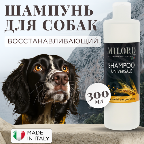 ���� ������� ��� ����� � ���������� ������� ��� ���� �����, ���������� ��������������� � ��������� ������, MILORD, ������, ���������� 1:10, 300 ��, ������ ������