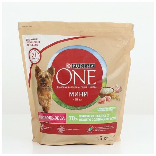    Purina One mini 