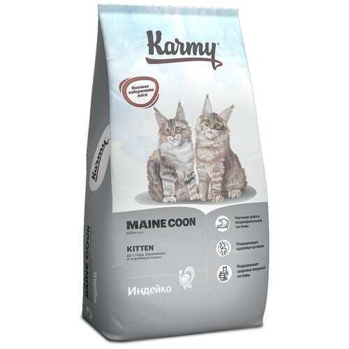    Karmy Maine Coon Kitten            , 400    -     , -,   