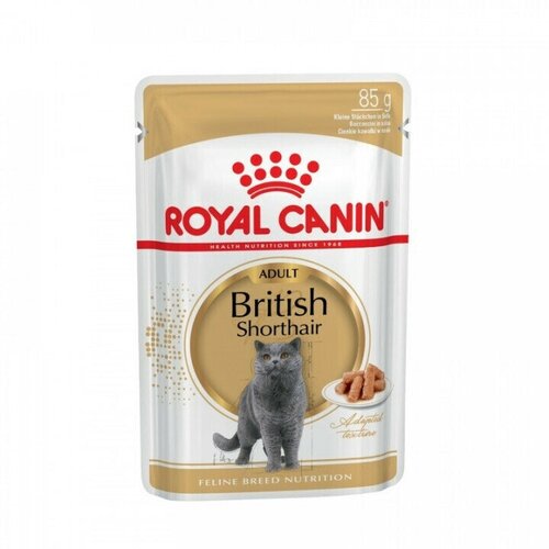      Royal Canin    6 .  85  (  )   -     , -  