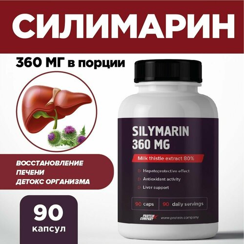   360 .  , .  , 90 . Silymarin   -     , -  