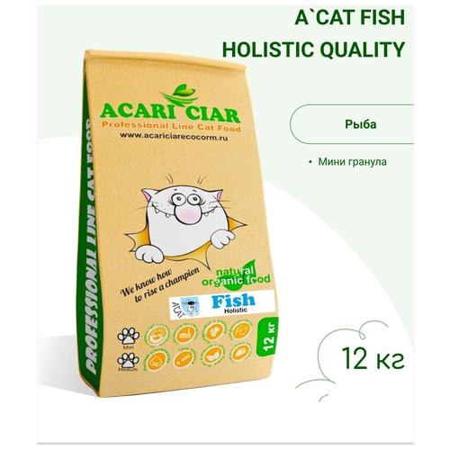      Acari Ciar A`Cat Fish 12      -     , -,   