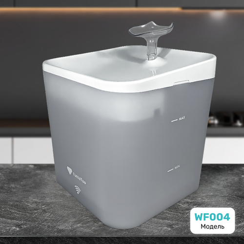 ���� �������������� ������ � wi-fi TuttoTuo, 2,2�, ������ ������