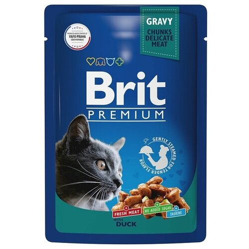   Brit Premium       85