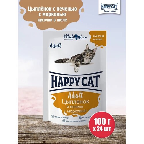  Happy Cat Adult         24 * 100    -     , -,   