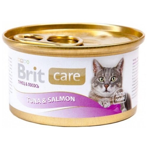      Brit Care,  ,   34 .  80  (-)  (Fish dreams)   -     , -,   