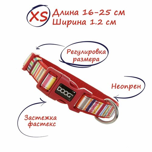 ���� ��� ����������� ������������� ������� DOOG �����������, ������ ��� 16-25 ��, �������, XS, ������ ������