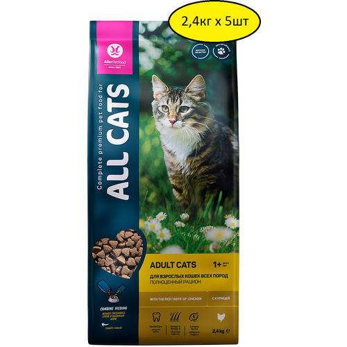      ALL CATS   2,4   5   -     , -,   