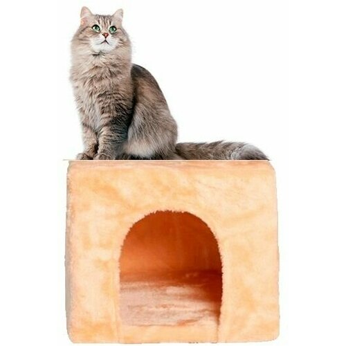 ���� ����� ��� ����� �����, 30�30�30 ��, ������ ������