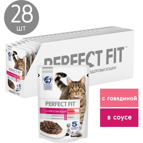        Perfect Fit   28 .  75  (  )   -     , -  