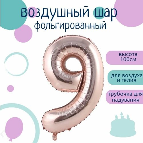 ���� ����� 9 �������������� ����� ����� ������� 102��, ������ ������