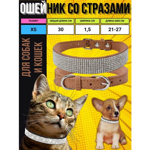 ���� ������� XS �� �������� ��� ����� � �����, ������ ������