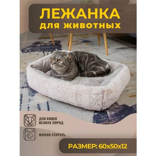 ���� ������� ��� ����� ������ �����, ������� ����� ������������, ������ ������