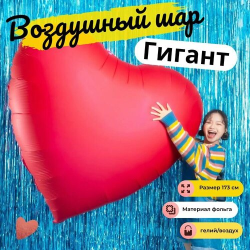 ���� ��������� ���, ������ �����, ������ 173�� ������ ������� �����, ������ ������