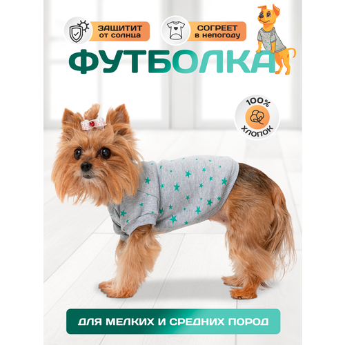 ���� �������� ��� ����� ������� �. 30, ������ ������