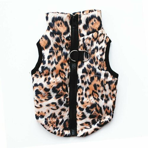 ���� ��������� ������� ��� �������� ��������: �����, �����, ������ ������