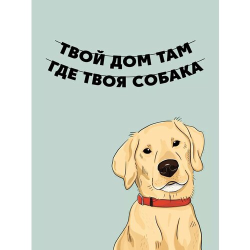 ���� �������� �������� �� ���� ������ - ���� ������, ������ ������