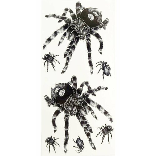 ���� ����� ��������� ���������� ������ ����� (�����) �����������, 7��. � ������, ���� 19�9��., ������ ������