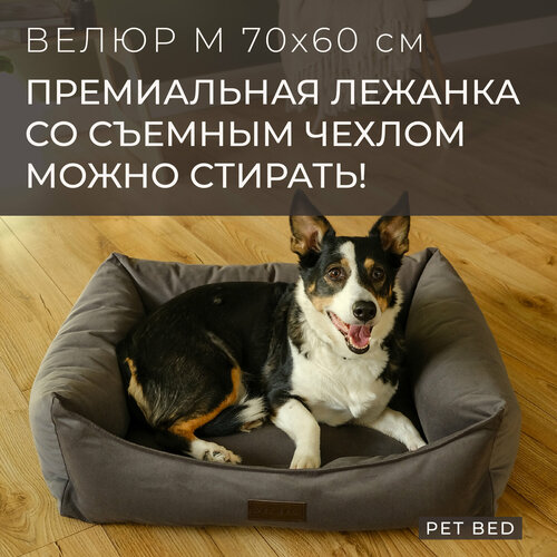 ���� ������� ��� ����� ������� ����� �� ������� ������ PET BED �����, ������ M 70�60 ��, �����-�����, ������ ������