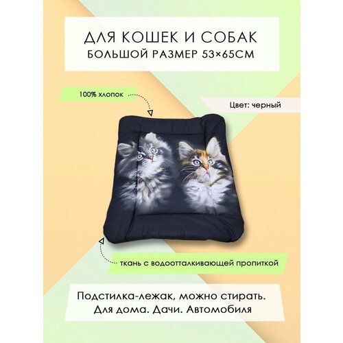 ���� ���������-����� ��� �����/����� 