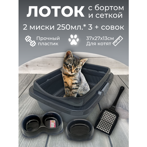 ���� ����� ����� � ������ � ������ � ������� � ������, ����� ��� �����, ������ ��� ����� ��������� �����-�����������, ������ ������